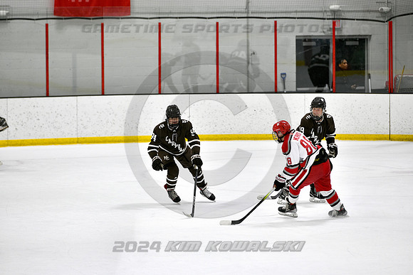 _KK87862 (Copy)
