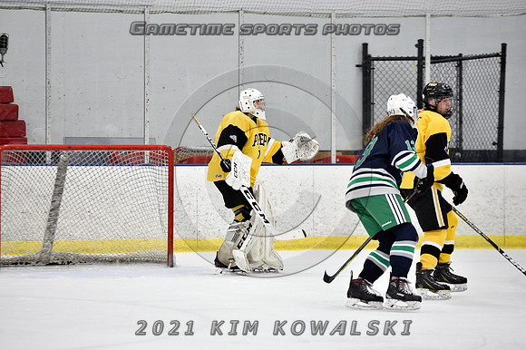 _GSP7341 (Copy)