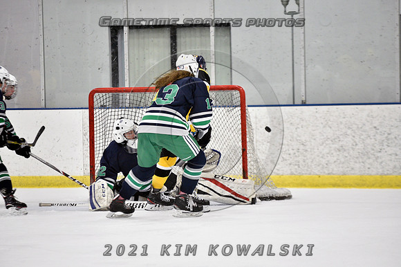 _GSP7345 (Copy)