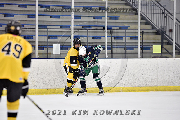 _GSP7353 (Copy)