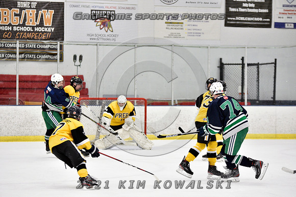 _GSP7381 (Copy)