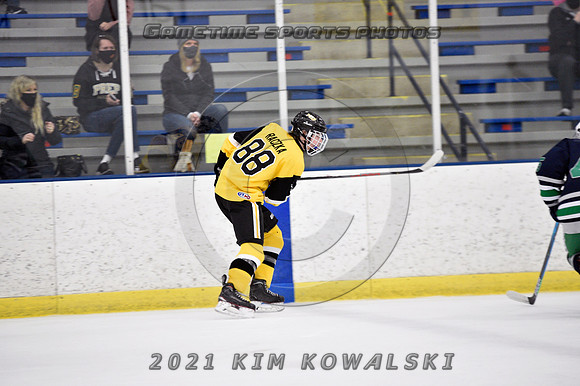 _GSP7393 (Copy)