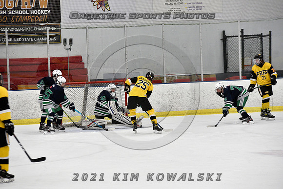 _GSP7695 (Copy)