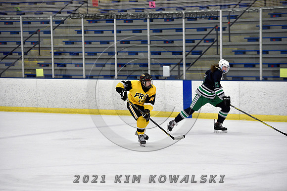 _GSP7783 (Copy)