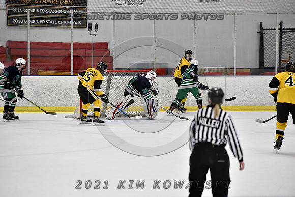 _GSP7808 (Copy)
