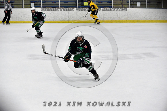 _GSP7847 (Copy)