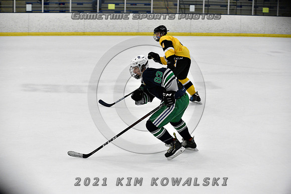 _GSP7869 (Copy)