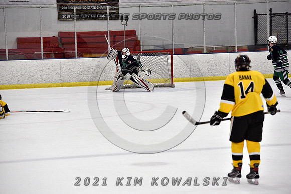 _GSP7873 (Copy)