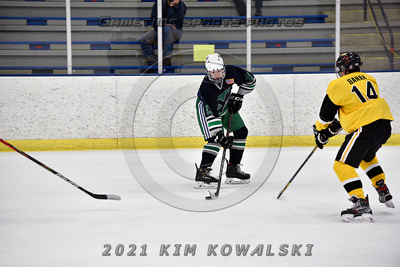 _GSP7879 (Copy)