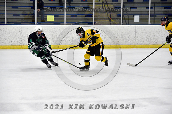 _GSP7985 (Copy)