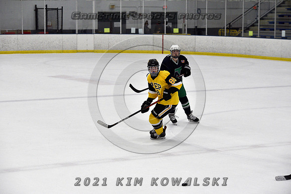 _GSP7997 (Copy)