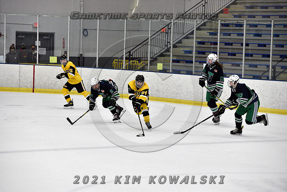 _GSP8007 (Copy)