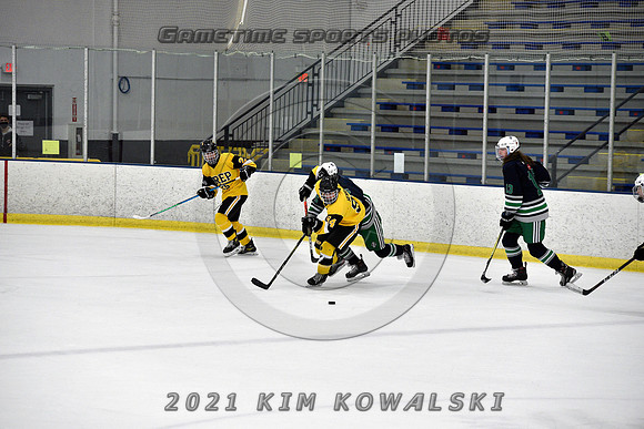 _GSP8006 (Copy)
