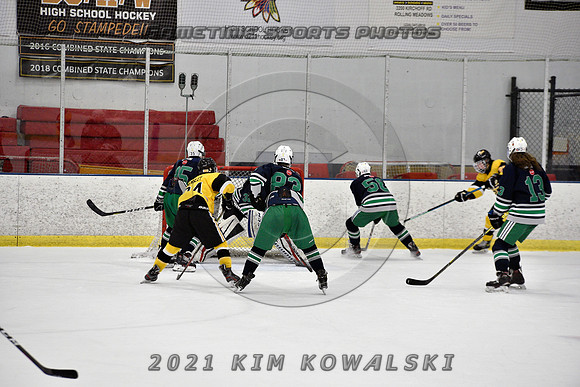 _GSP8012 (Copy)