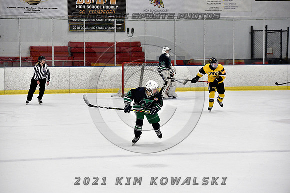 _GSP8019 (Copy)
