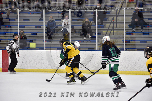 _GSP8021 (Copy)