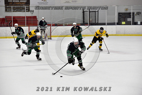 _GSP8035 (Copy)