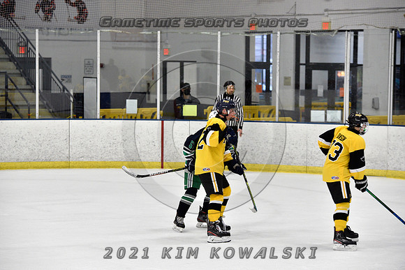_GSP8043 (Copy)