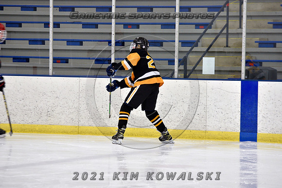 _GSP7362 (Copy)