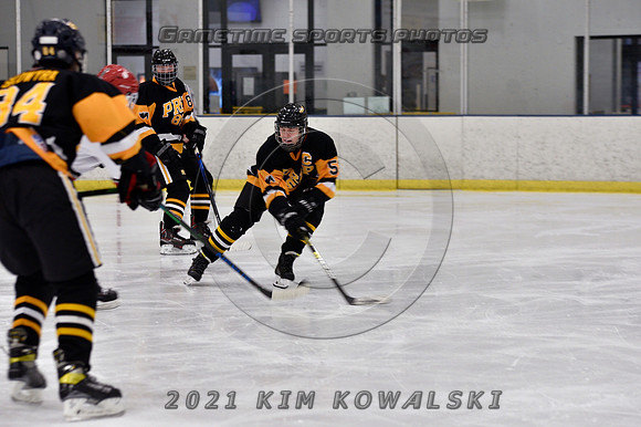 _GSP7385 (Copy)