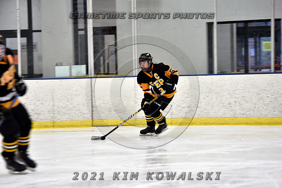 _GSP7404 (Copy)