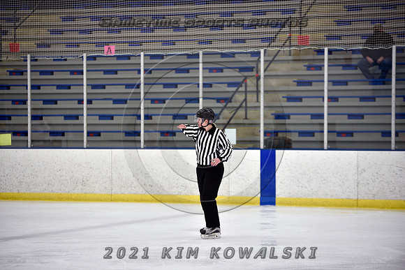 _GSP7482 (Copy)
