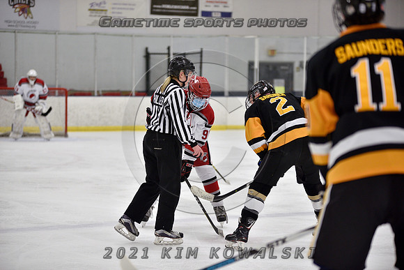 _GSP7485 (Copy)