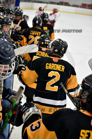 _GSP7804 (Copy)