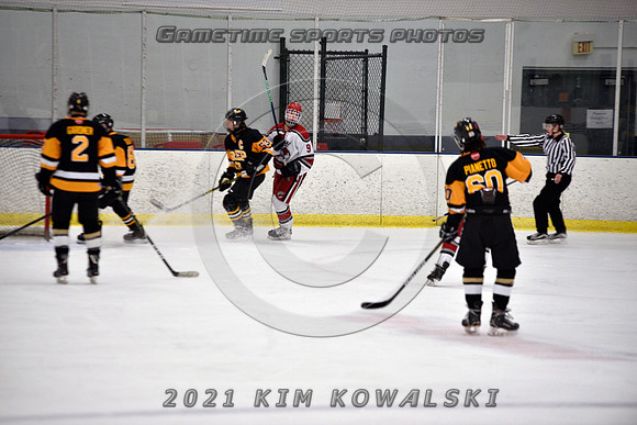 _GSP7817 (Copy)