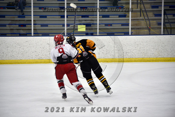 _GSP7938 (Copy)
