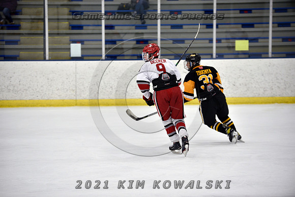 _GSP7939 (Copy)
