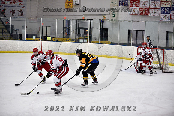 _GSP8023 (Copy)
