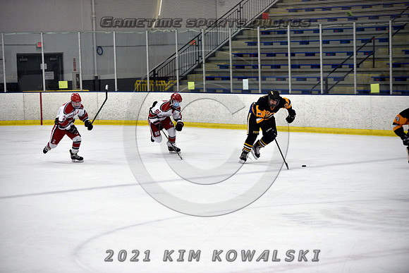 _GSP8035 (Copy)