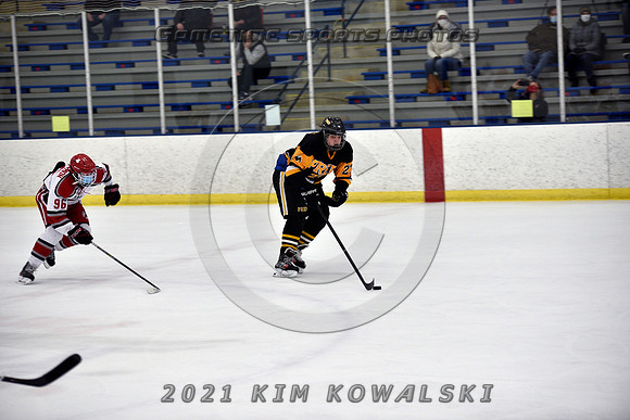 _GSP8037 (Copy)