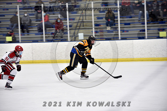 _GSP8038 (Copy)