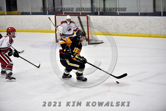 _GSP8044 (Copy)