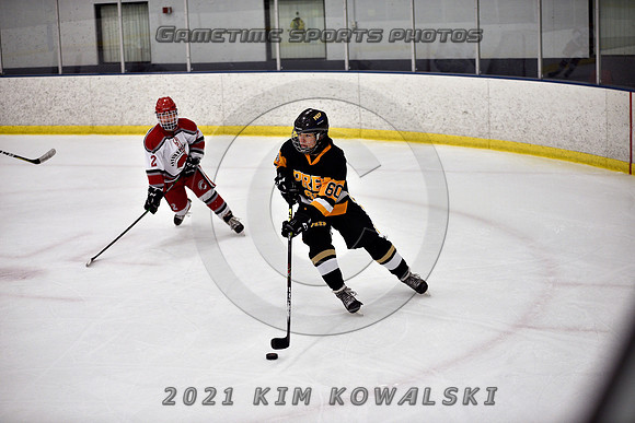 _GSP8046 (Copy)