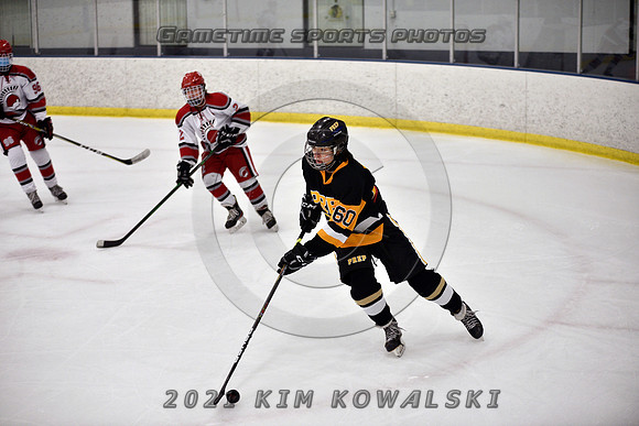 _GSP8047 (Copy)