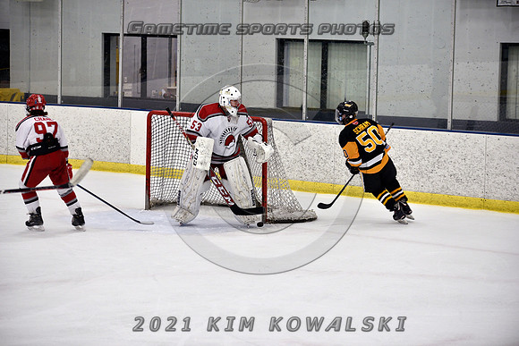 _GSP8076 (Copy)
