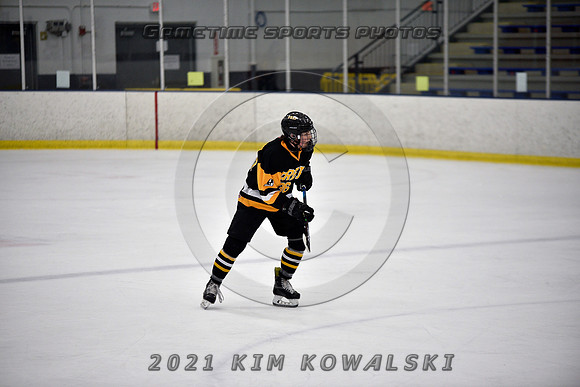 _GSP8133 (Copy)