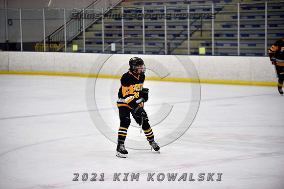_GSP8135 (Copy)