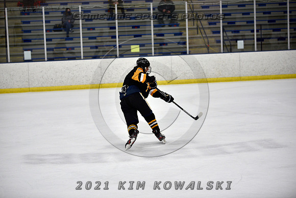 _GSP8177 (Copy)