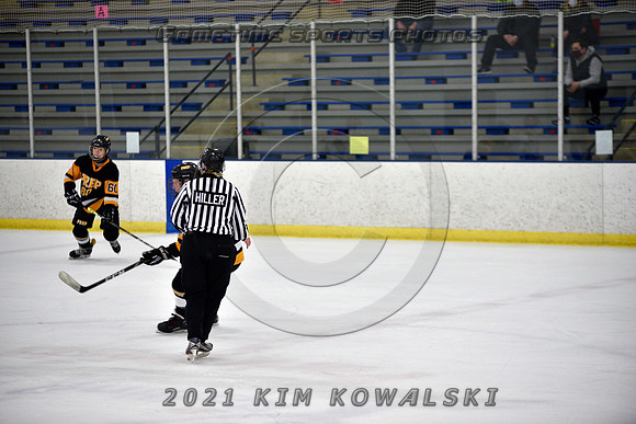 _GSP8193 (Copy)