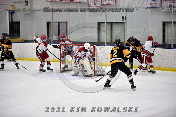_GSP8199 (Copy)