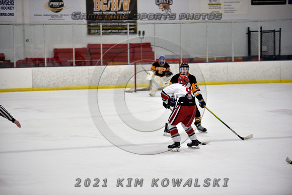 _GSP8228 (Copy)