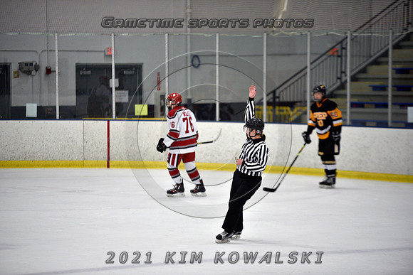 _GSP8233 (Copy)