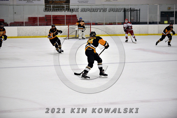 _GSP8296 (Copy)