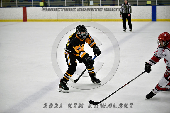 _GSP8318 (Copy)
