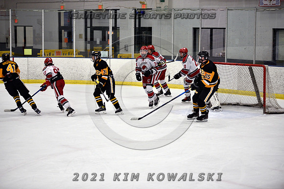 _GSP8333 (Copy)
