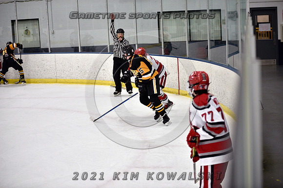 _GSP8338 (Copy)